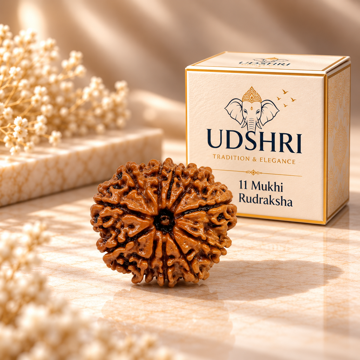 Original Nepal 11 Mukhi Rudraksha