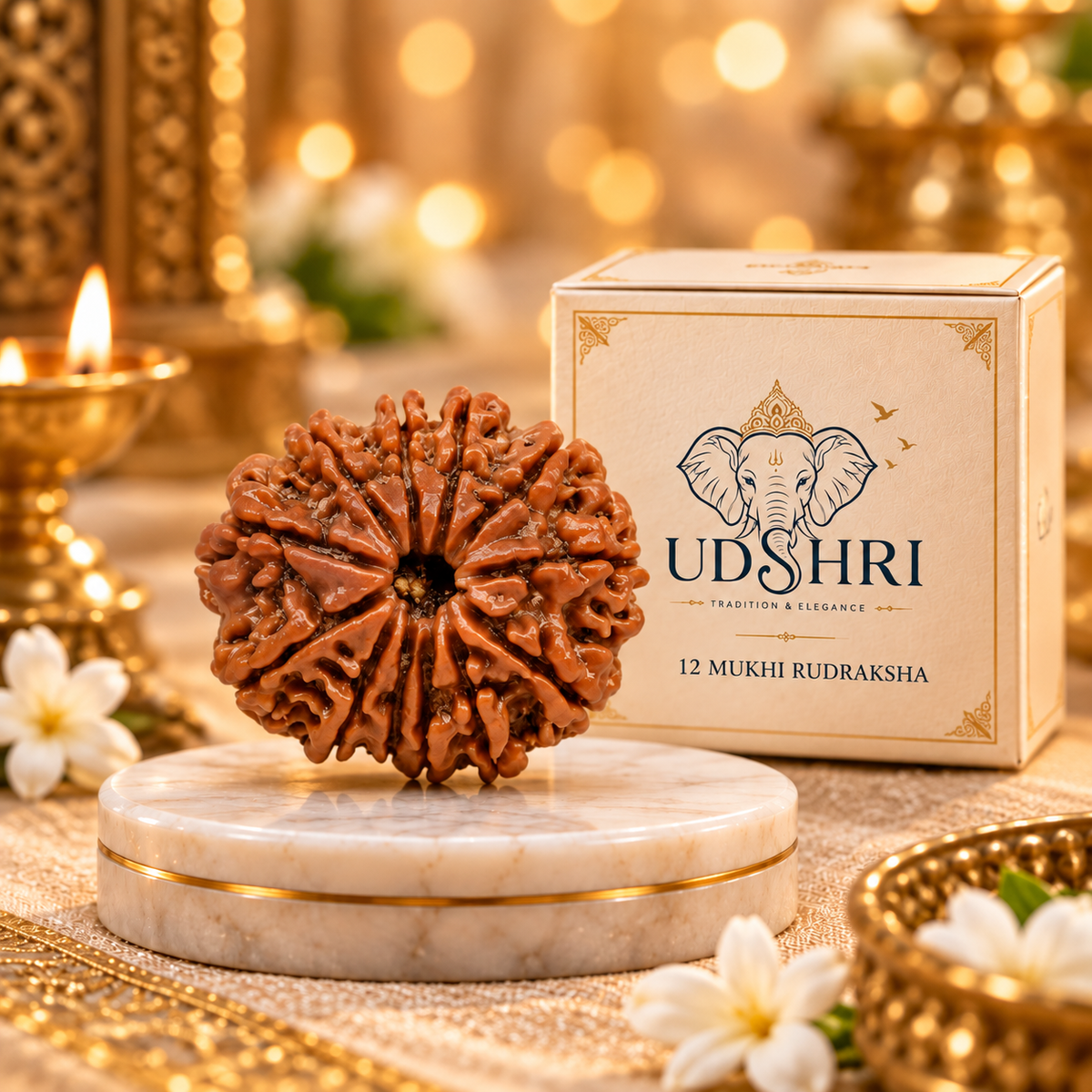 Original Nepal 12 Mukhi Rudraksha