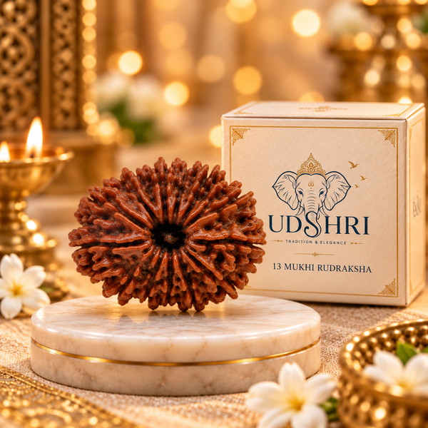 Original Nepal 13 Mukhi Rudraksha