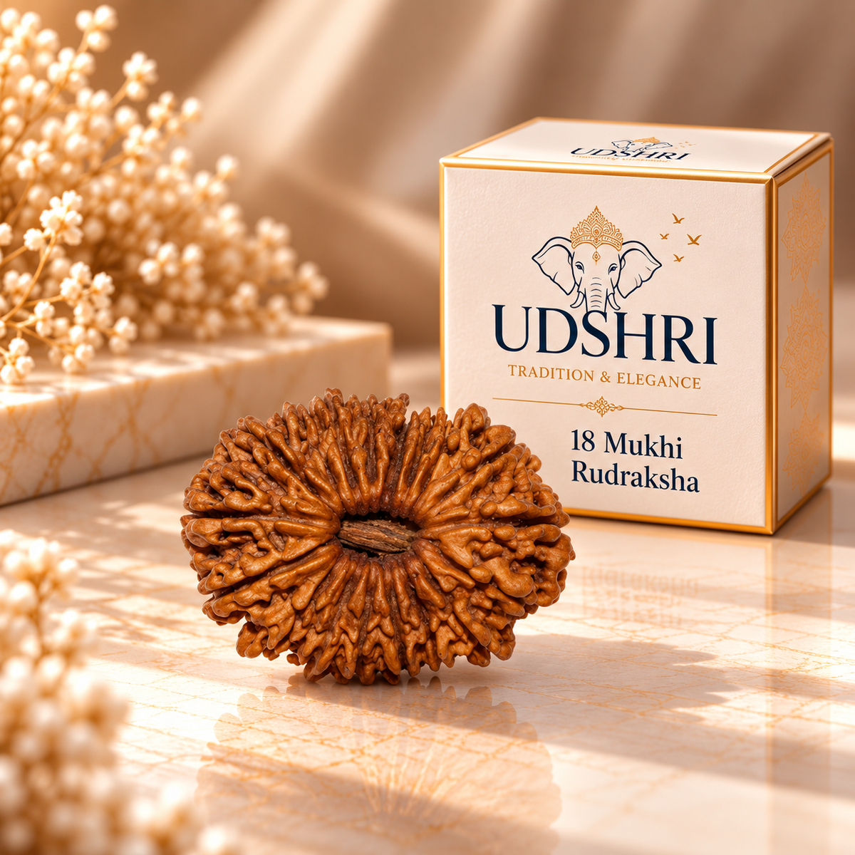 Original Nepal 18 Mukhi Rudraksha