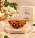 Original Nepal 1 Mukhi Rudraksha