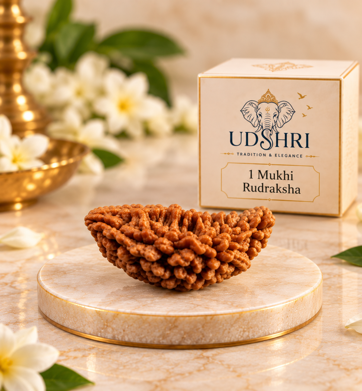 Original Nepal 1 Mukhi Rudraksha