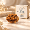 Original Nepal 2 Mukhi Rudraksha