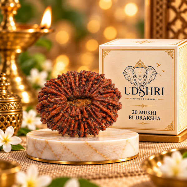 Original Nepal 20 Mukhi Rudraksha