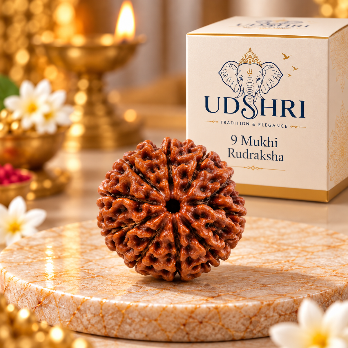 Original Nepal 9 Mukhi Rudraksha