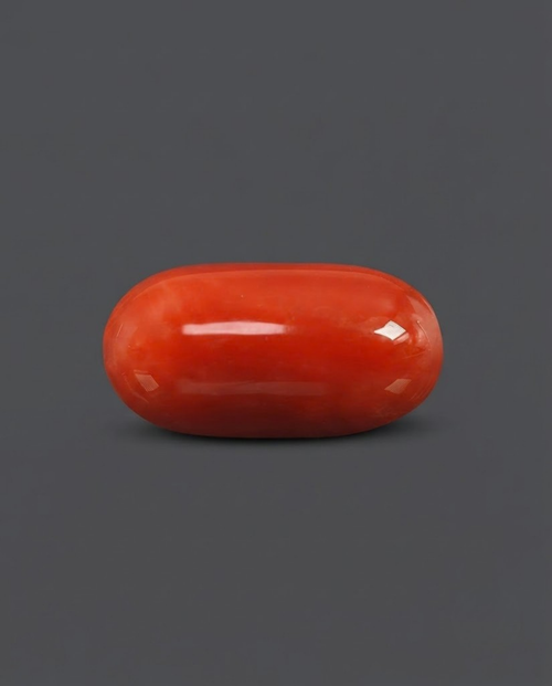 Italian Red Coral - Red (Polash Praval) - Semi-ovel Cabacon Shaped