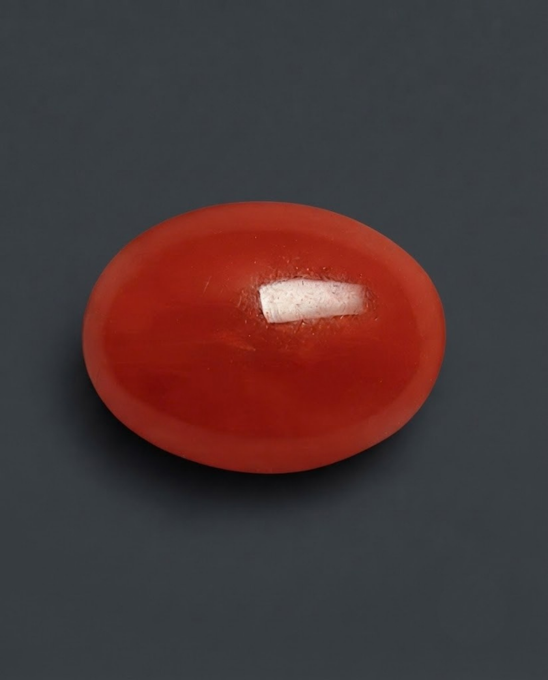 Ox-Blood Color Italian Red Coral (Rakta Praval) - Semi ovel Shaped