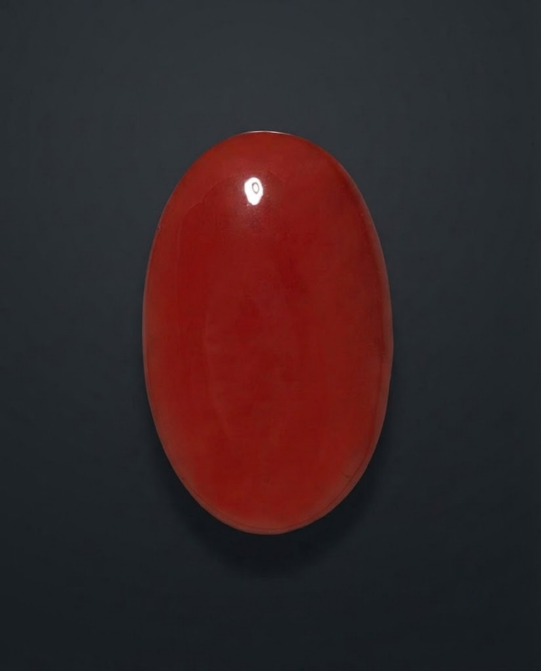 Ox-Blood Color Italian Red Coral (Rakta Praval) - Ovel shaped