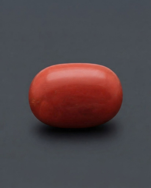 Italian Red Coral - Orangish Red (Gorik Praval) Semi-ovel Carbacon Shaped