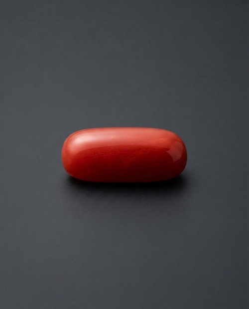 Italian Red Coral - Red (Polash Praval) - Capsule shaped