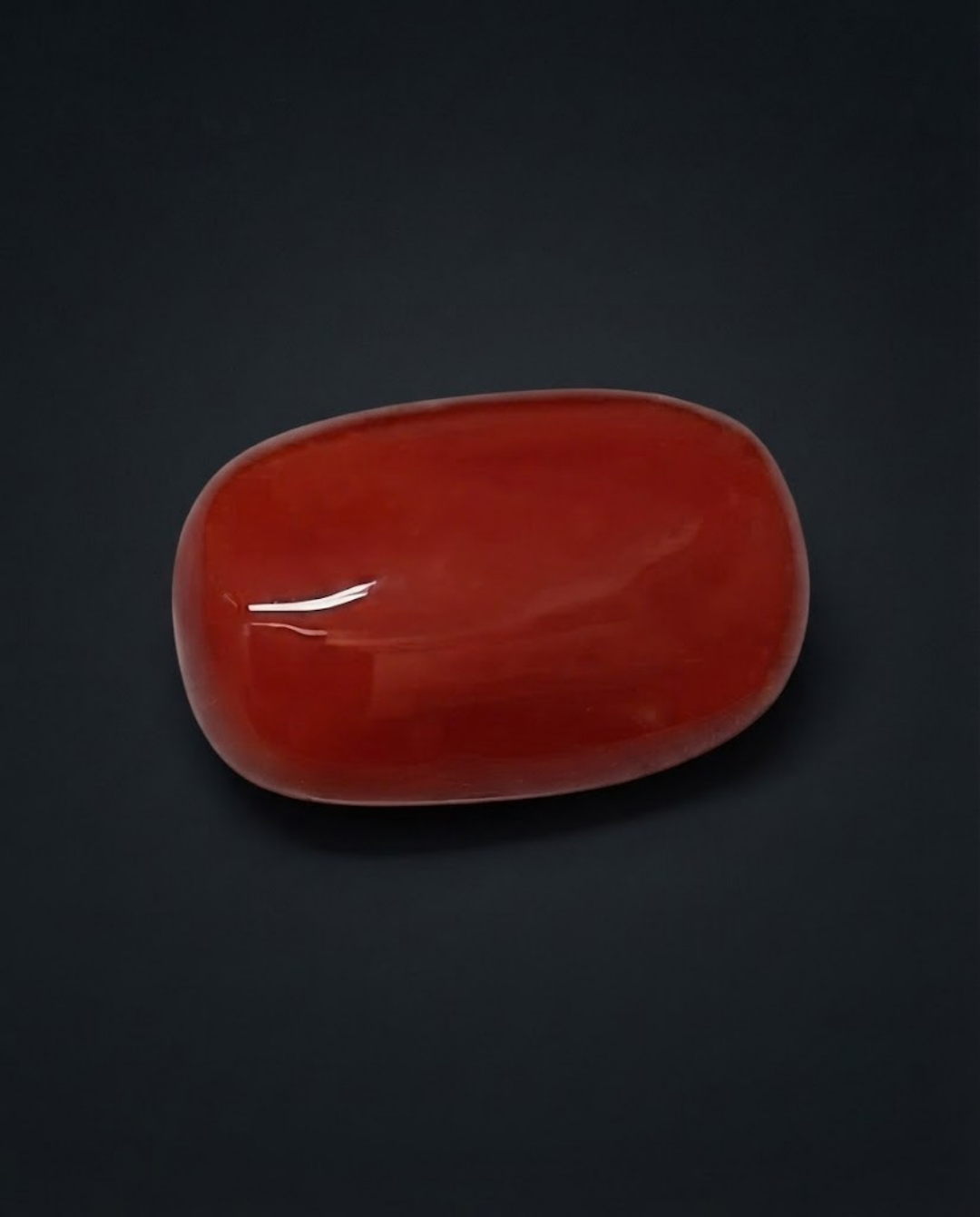 Ox-Blood Color Italian Red Coral (Rakta Praval) - Ovel shaped