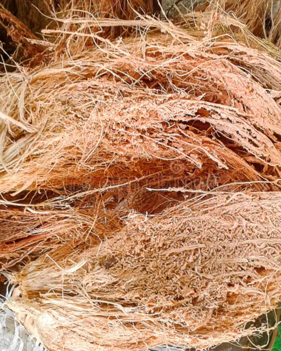 Pure Dry Coconut Husk For Dhuna