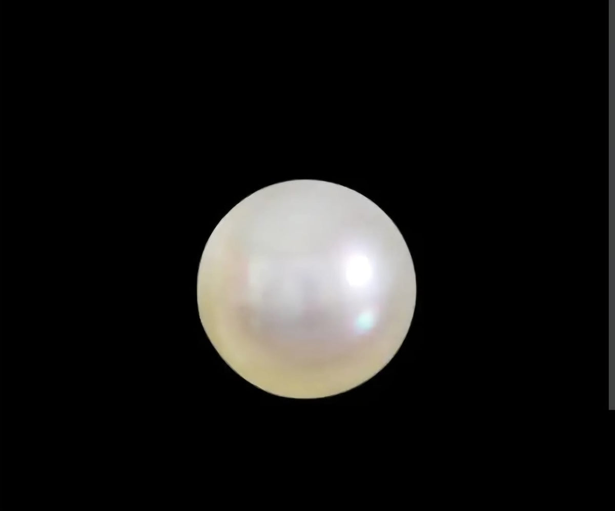 Natural Chinese Pear - Pearly White