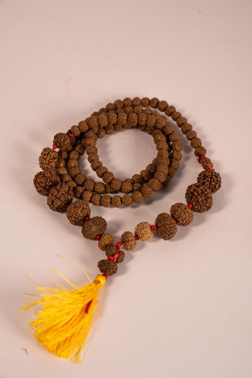 Siddh Mala rudraksha