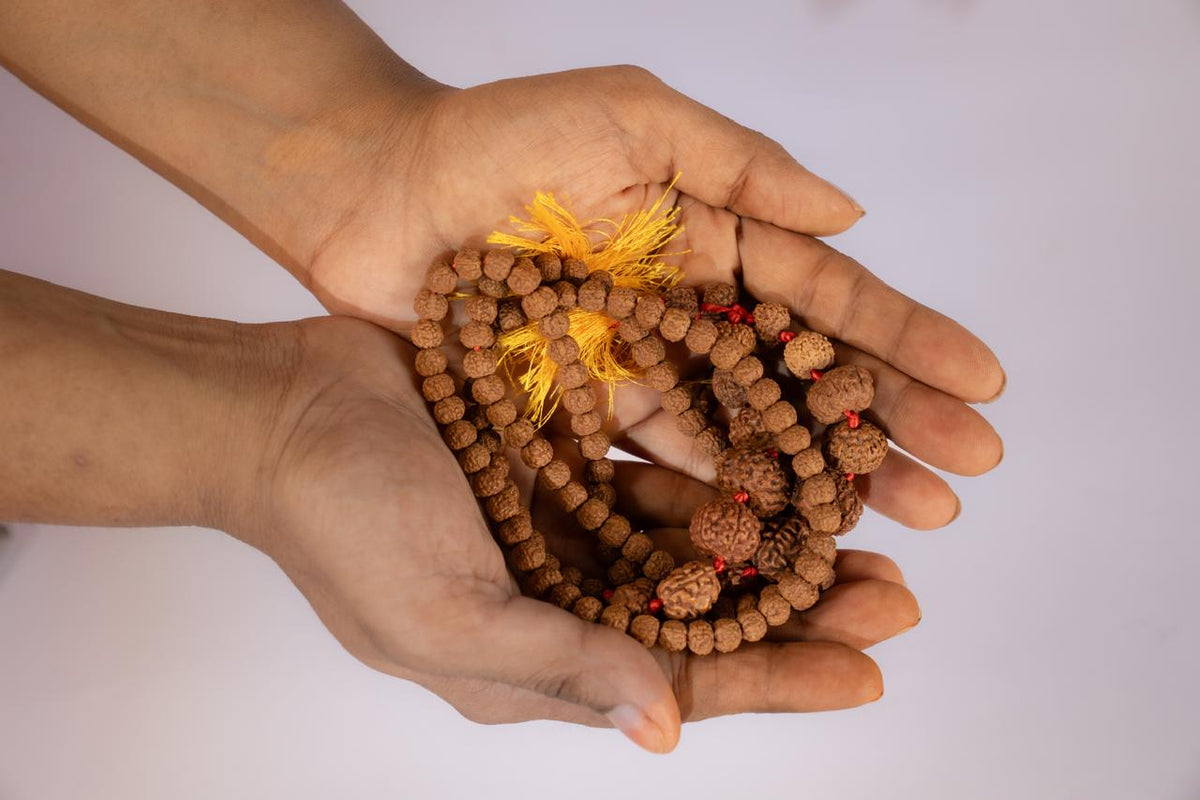 Siddh Mala rudraksha