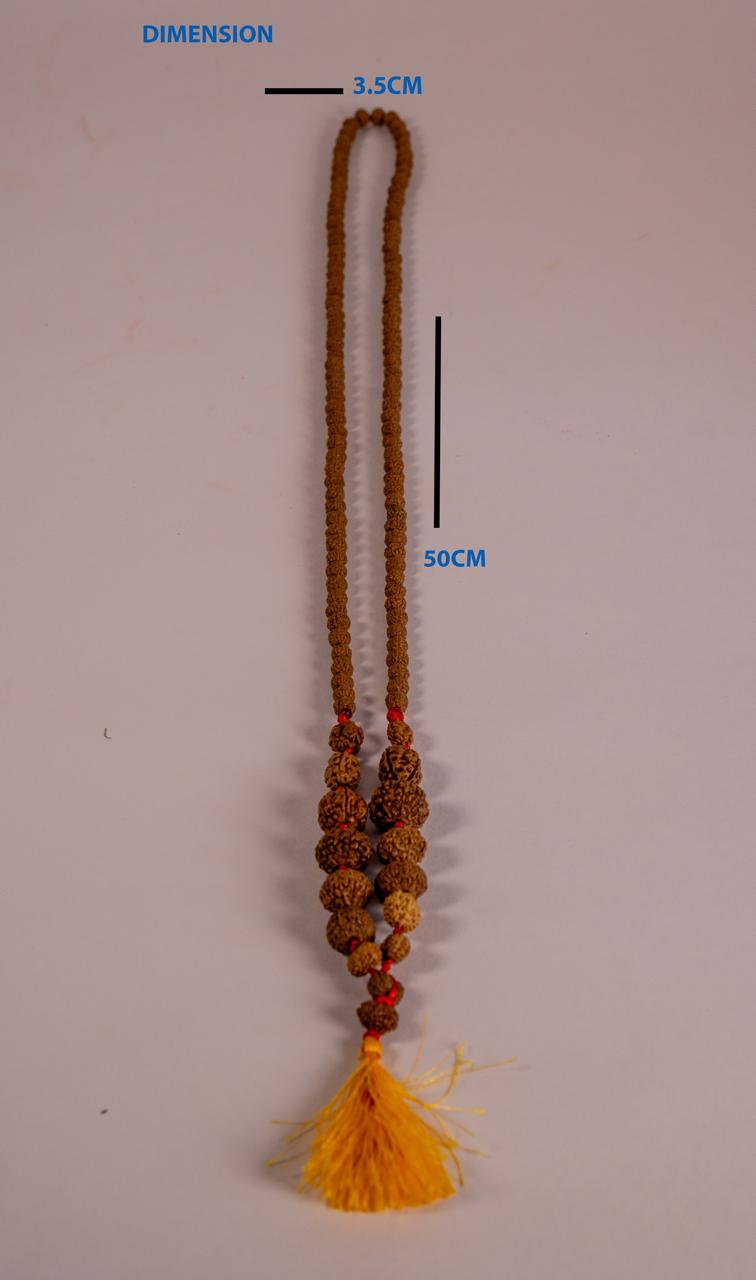 Siddh Mala rudraksha