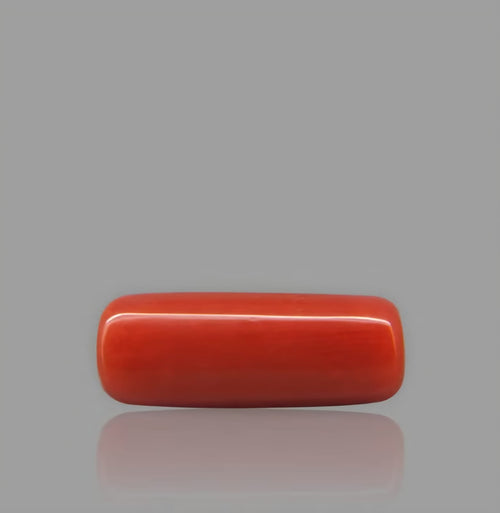 Italian Red Coral - Orangish Red (Gorik Praval) Capsule shaped