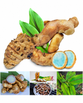 Sacred Rare Black Turmeric Rhizome