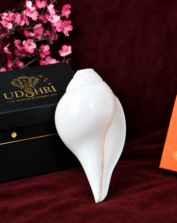 Sacred Authentic Puja Shankh Collection