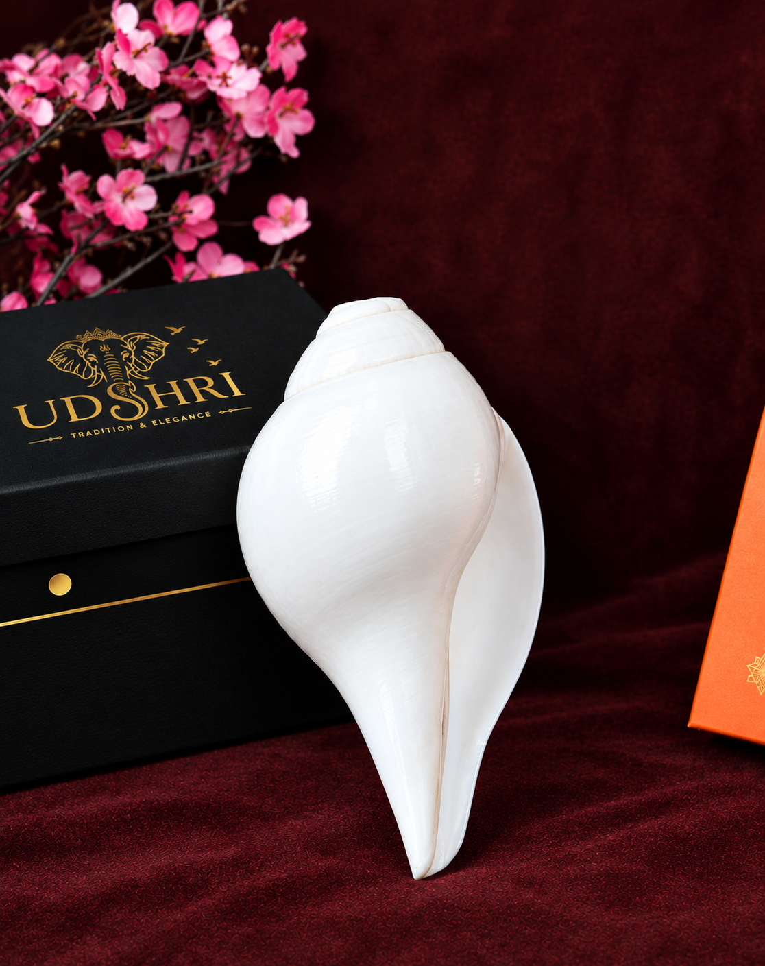 Sacred Natural Blowing Shankh Conch