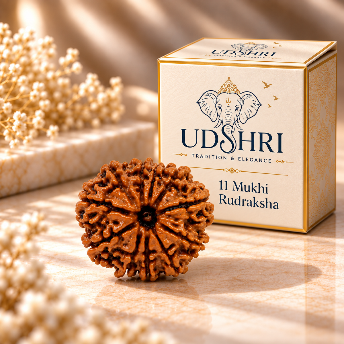 Original Nepal 11 Mukhi Rudraksha